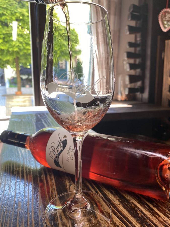 ライプニッツWeingut Puglアパートメント エクステリア 写真