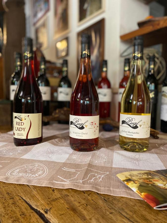 ライプニッツWeingut Puglアパートメント エクステリア 写真