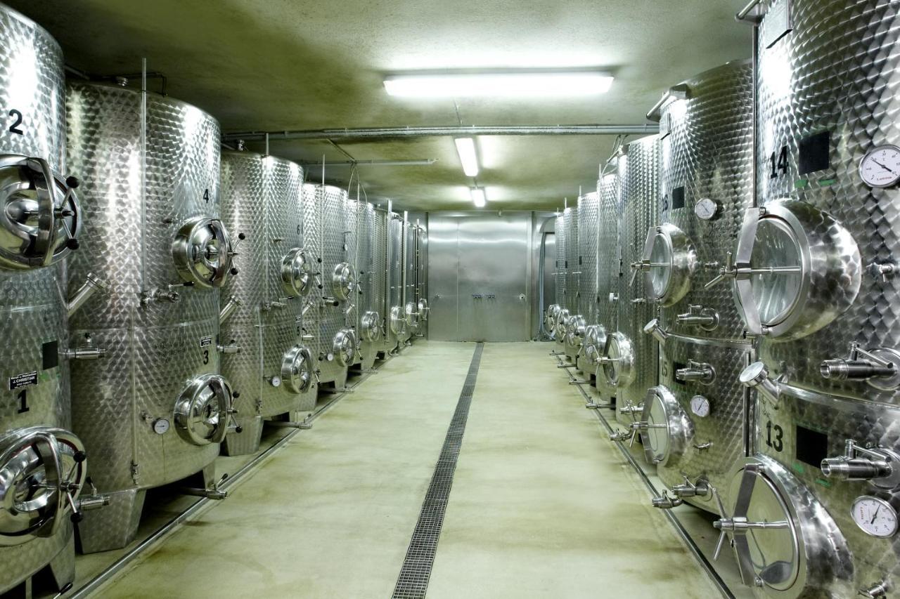 ライプニッツWeingut Puglアパートメント エクステリア 写真
