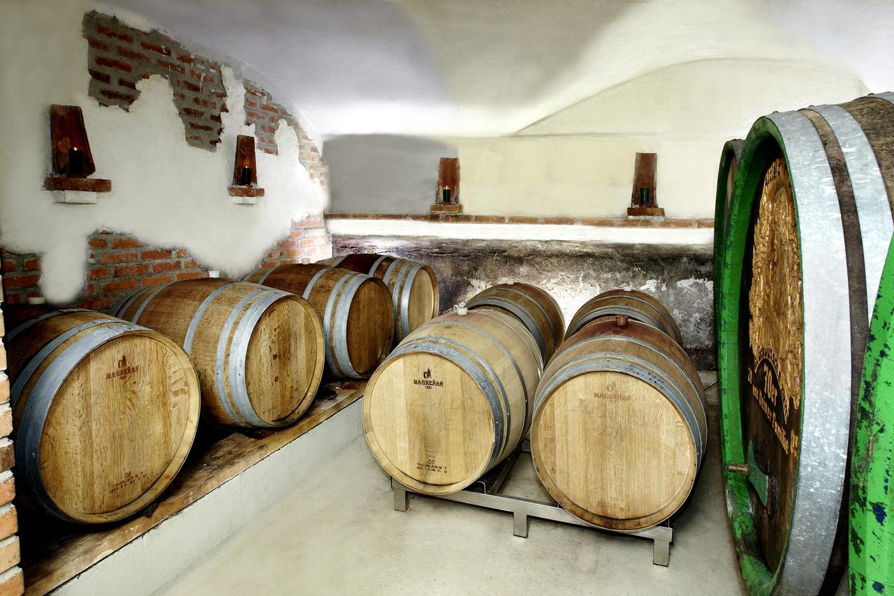 ライプニッツWeingut Puglアパートメント エクステリア 写真