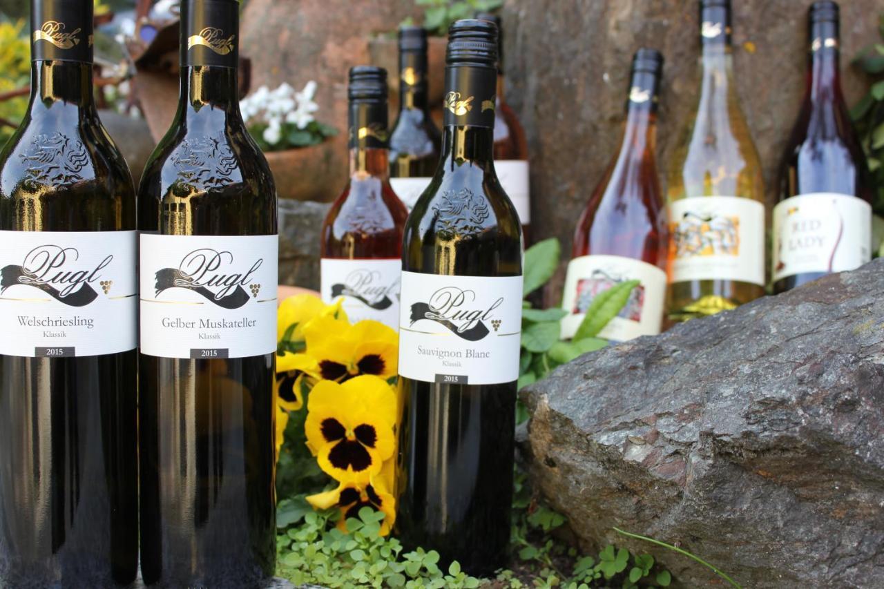 ライプニッツWeingut Puglアパートメント エクステリア 写真