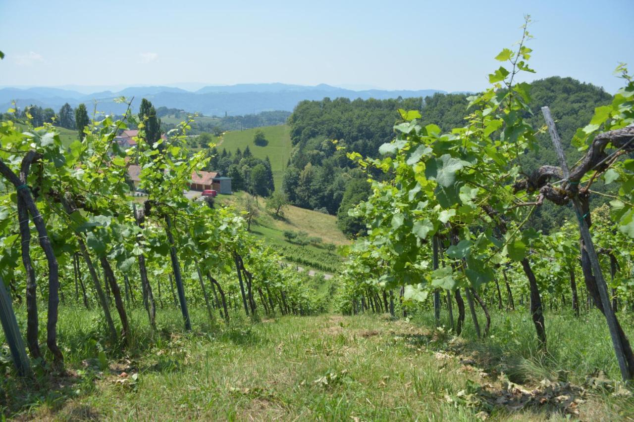 ライプニッツWeingut Puglアパートメント エクステリア 写真